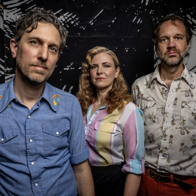Great Lake Swimmers